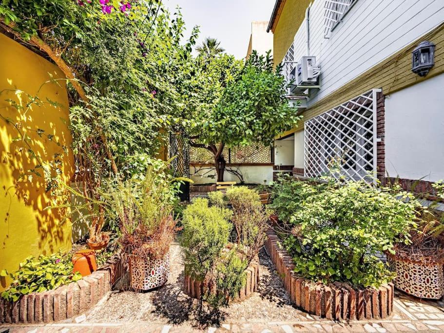 Вилла Casa Limonero Con Parking Gratis Junto A Centro Historico Гранада Экстерьер фото